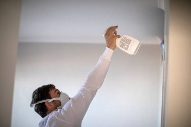 Best Mold Cleaning Services  in Versailles, OH
