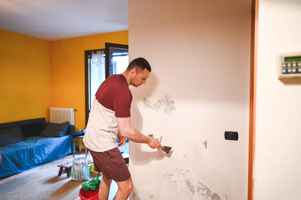 Best Certified Mold Removal  in Versailles, OH